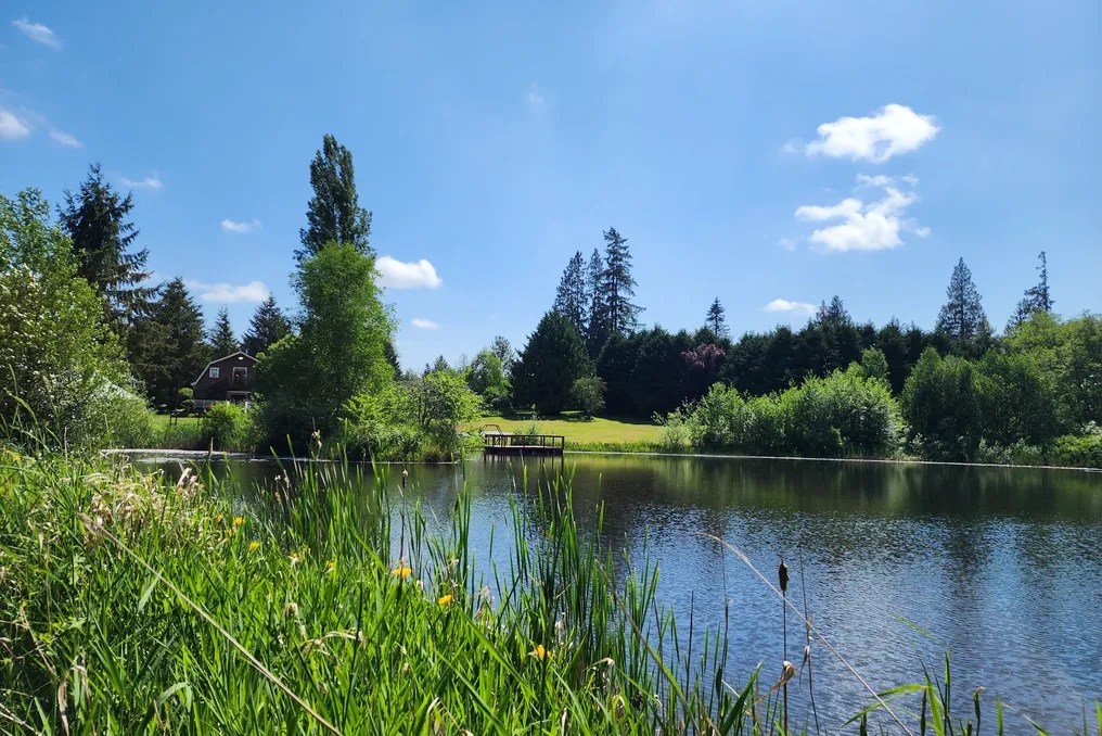 Sadie Lake Events #22