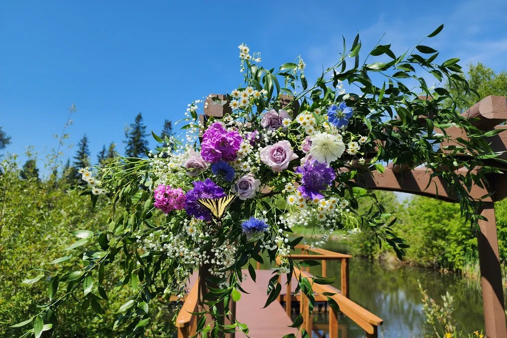 Sadie Lake Events #25