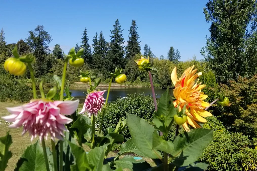 Sadie Lake Events #33