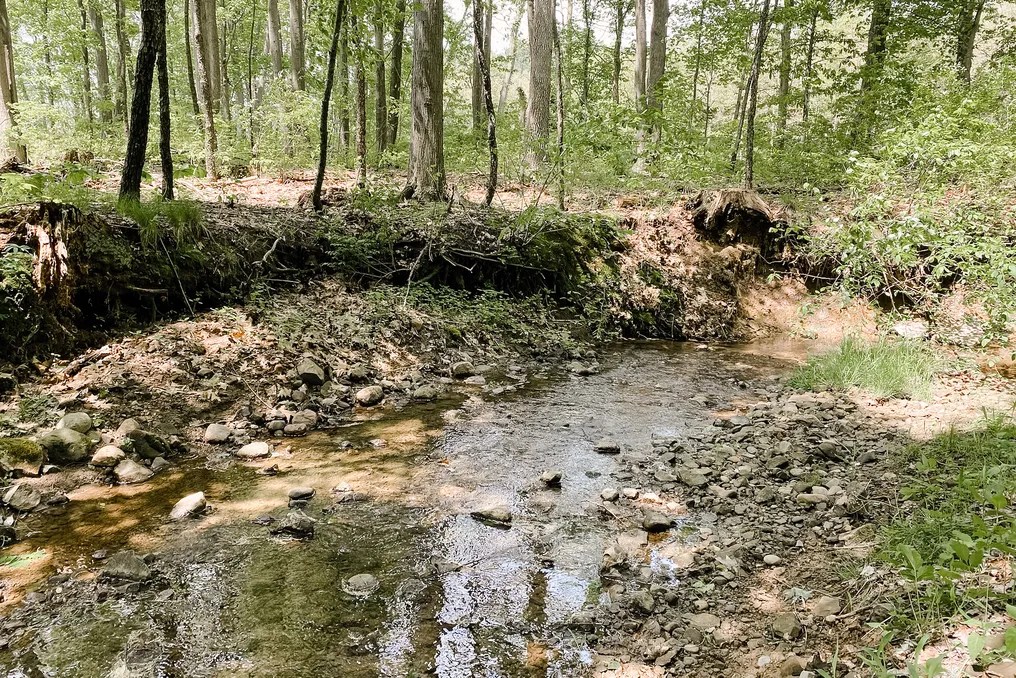 The Wellspring Ohio #41