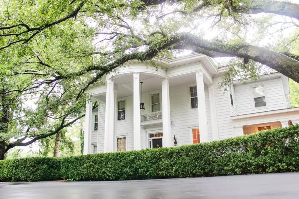 Quinney Oaks Plantation #1