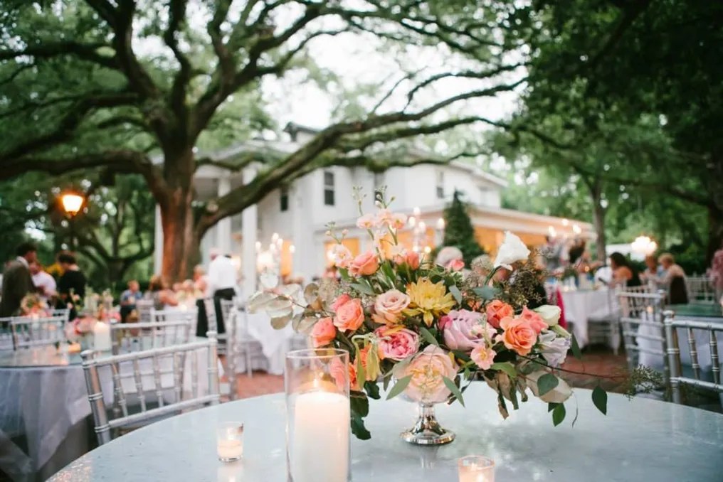 Quinney Oaks Plantation #31
