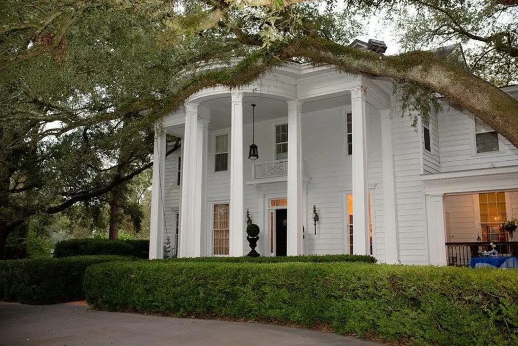 Quinney Oaks Plantation #34