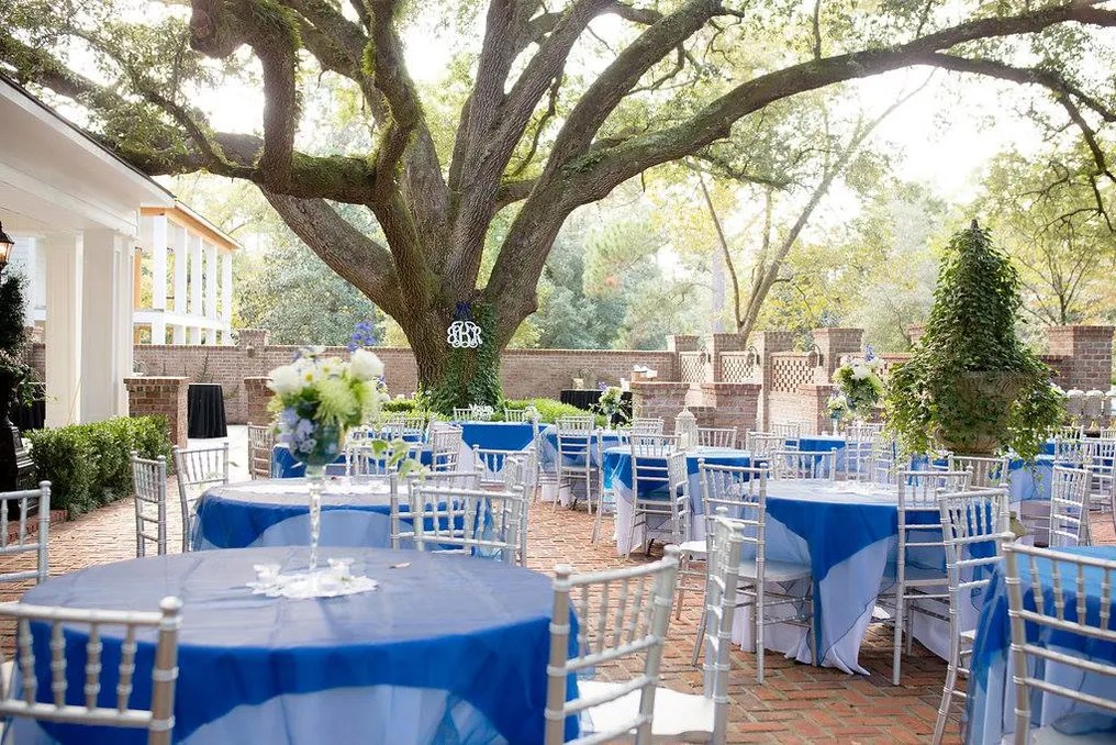 Quinney Oaks Plantation #46