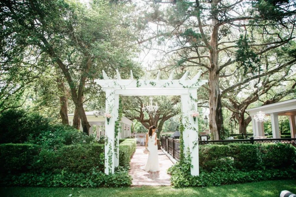 Quinney Oaks Plantation #50