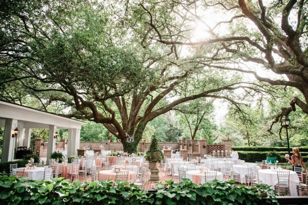 Quinney Oaks Plantation #69