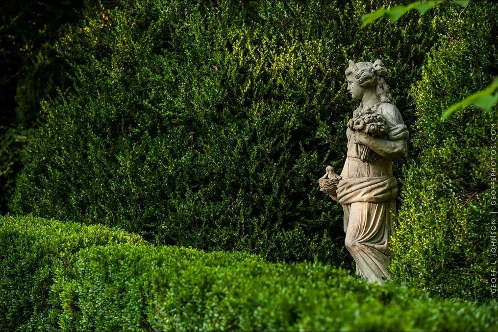 Quinney Oaks Plantation #72