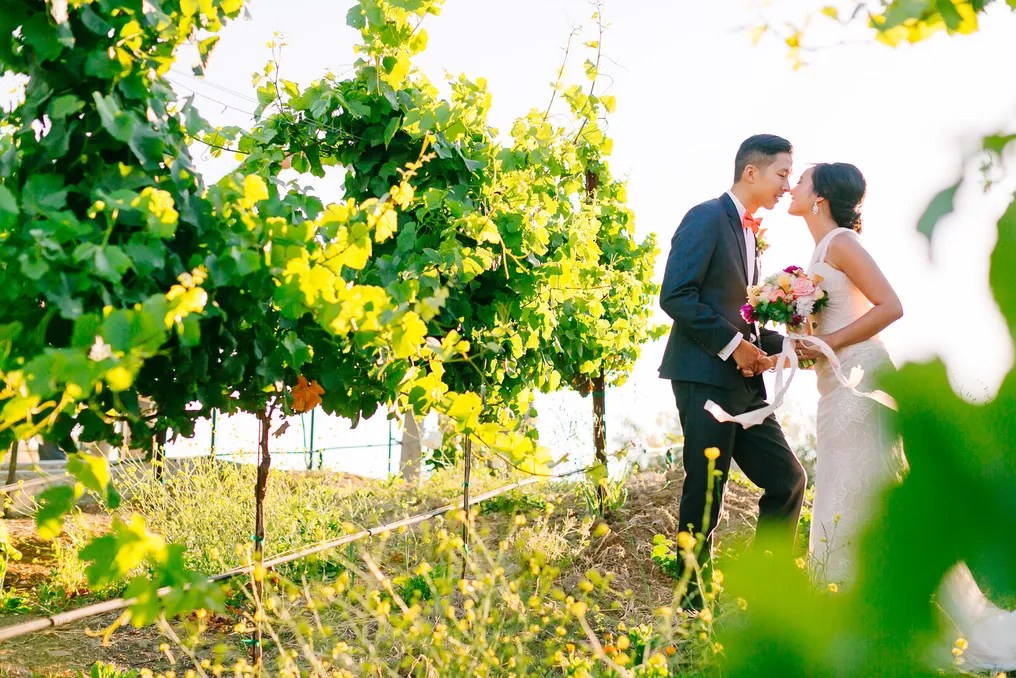 Nella Terra Cellars #30
