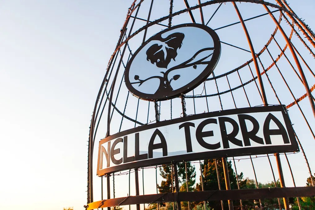 Nella Terra Cellars #37