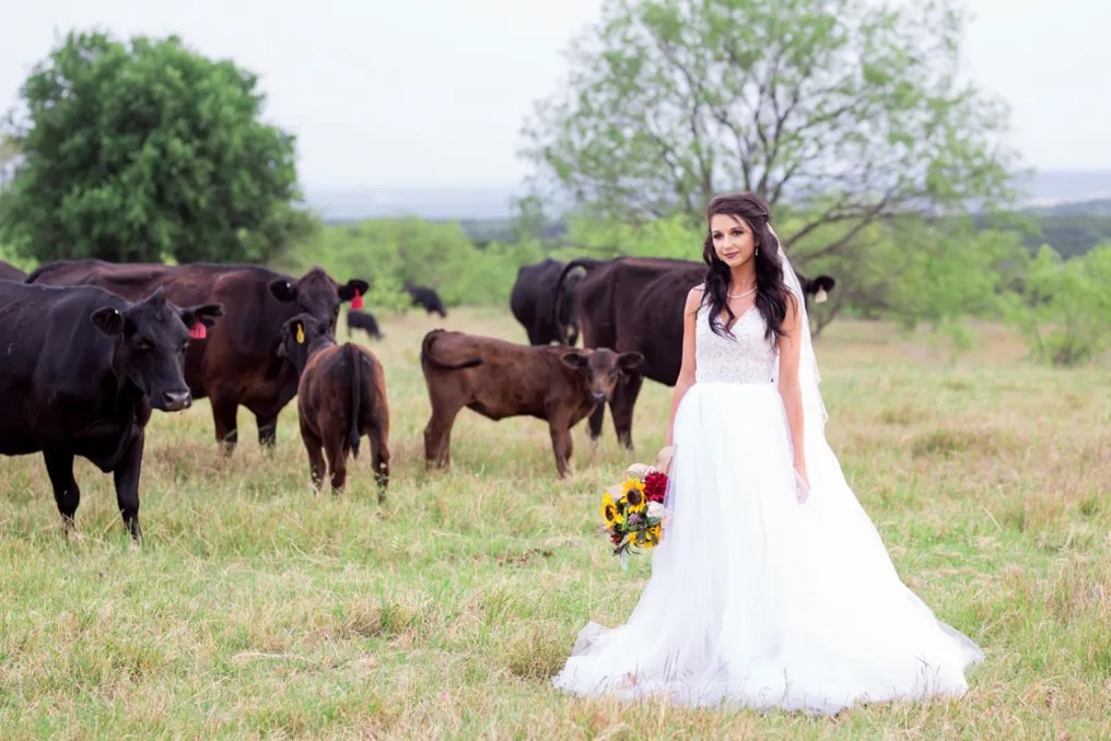 Barn on the Brazos #67