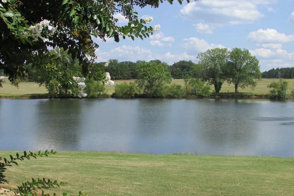 The Waterview Lodge #24