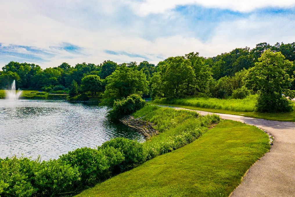 Lakes at Lacey #6