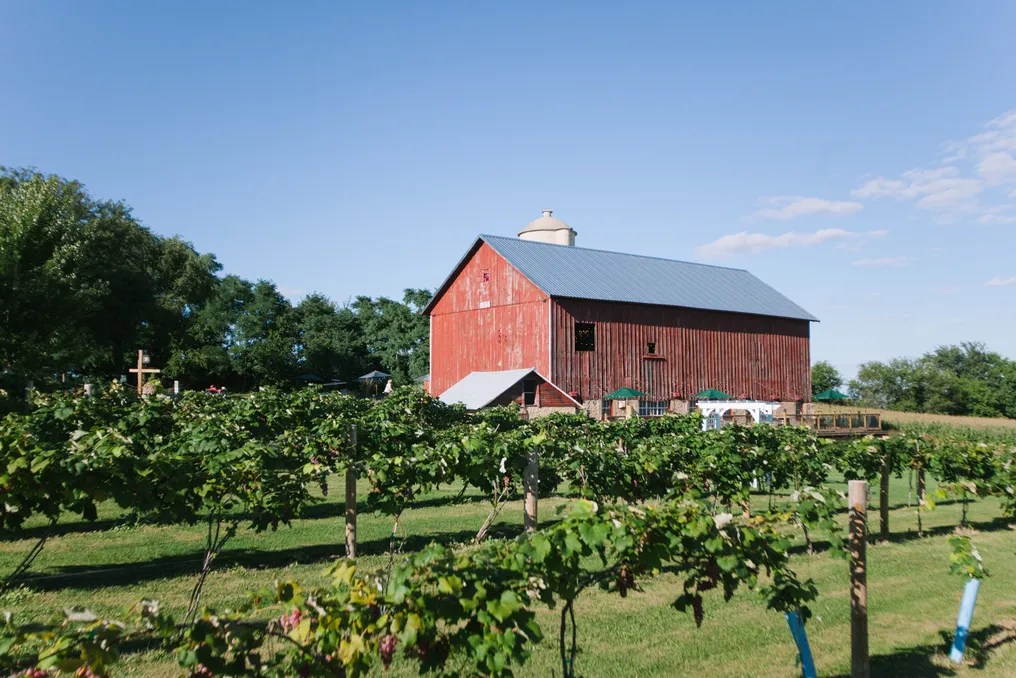Over The Vines Vineyard & Wine Barn #9