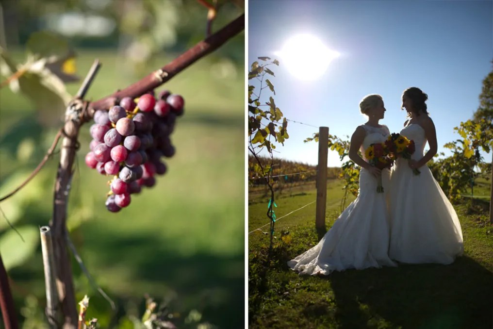 Over The Vines Vineyard & Wine Barn #18