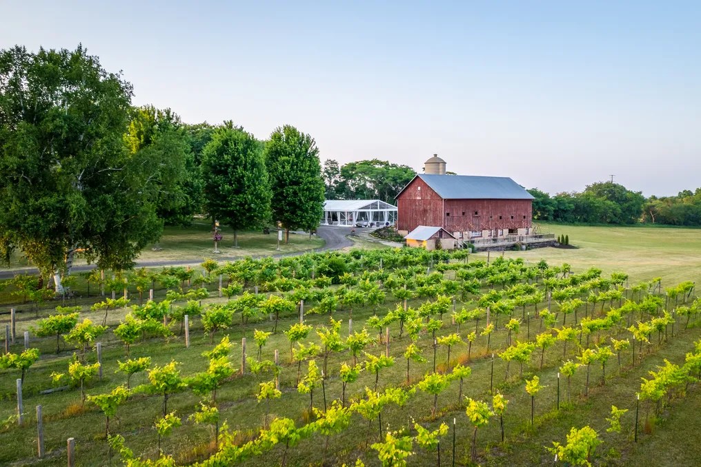 Over The Vines Vineyard & Wine Barn #36