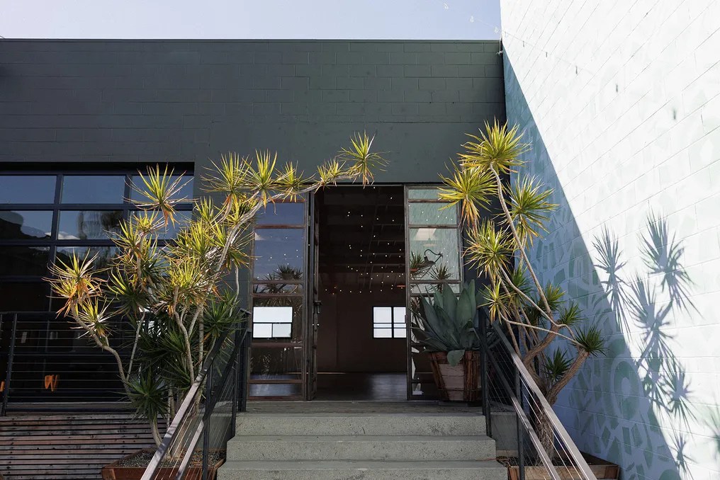 LUCE on Kettner #30