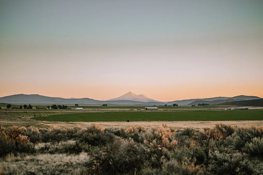 Rossetto Ranch #1
