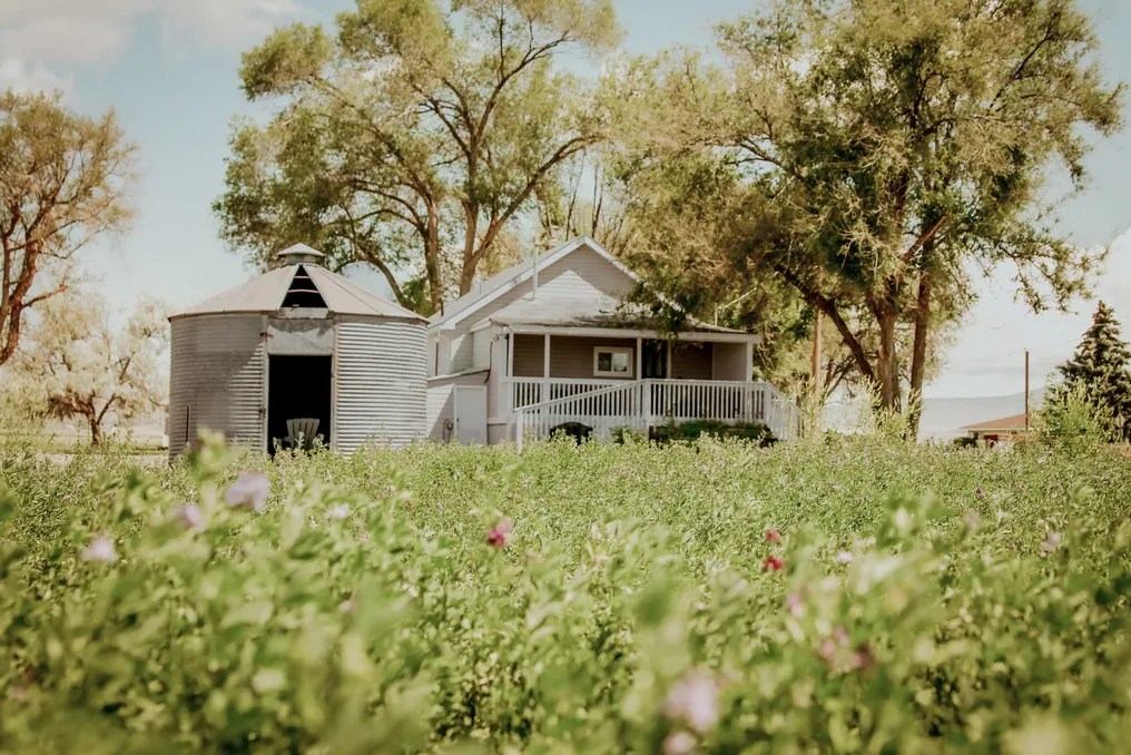 Rossetto Ranch #8