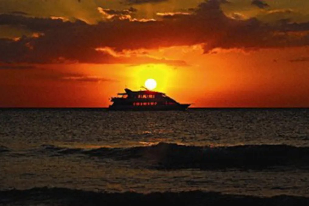 Naples Princess #11