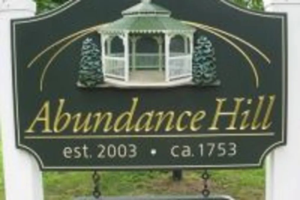 Abundance Hill #8