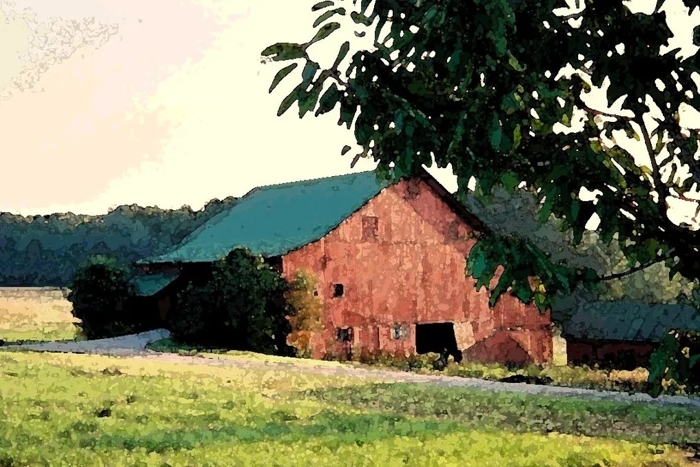 Abundance Hill #9