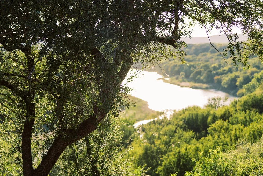 Rest Yourself River Ranch #33