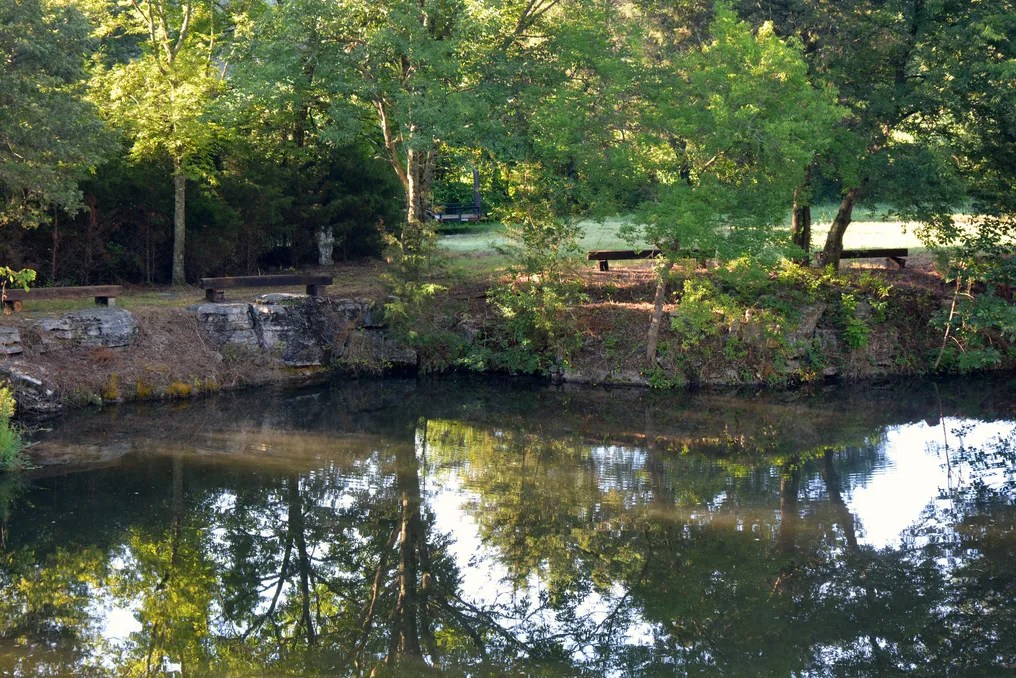 The Everlasting Pond #3