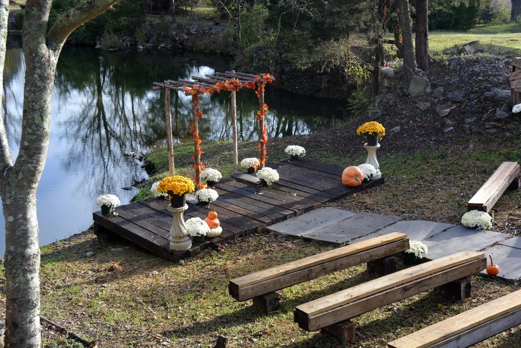 The Everlasting Pond #5