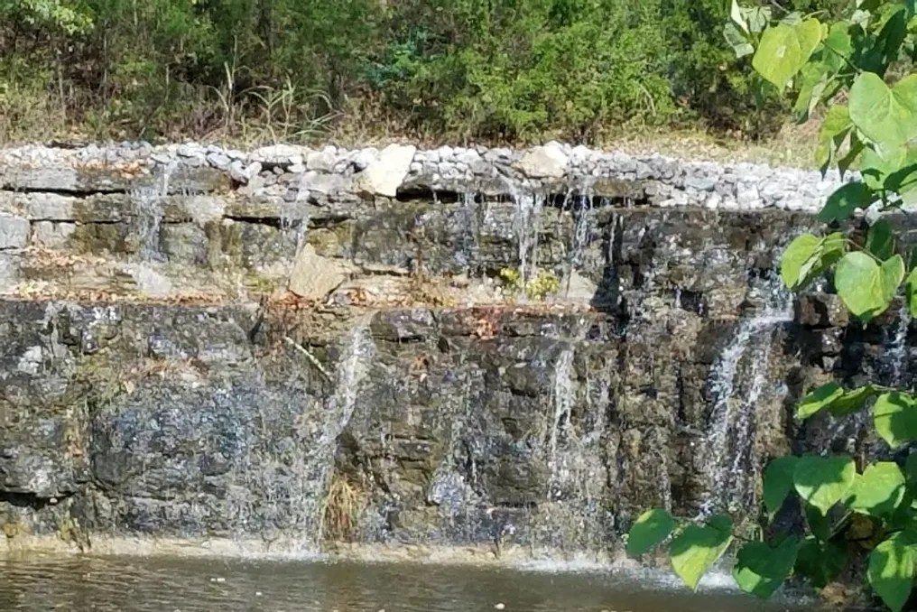 The Everlasting Pond #21