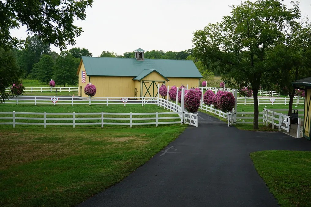 Tetz Family Clydesdale Farm #6