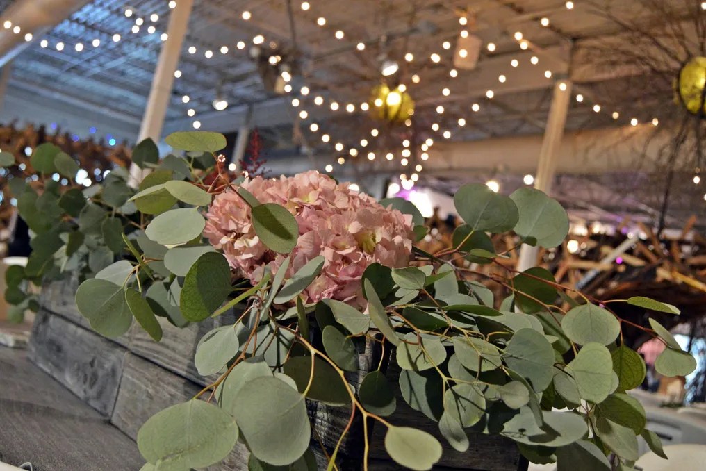 The Rust Belt Market #23