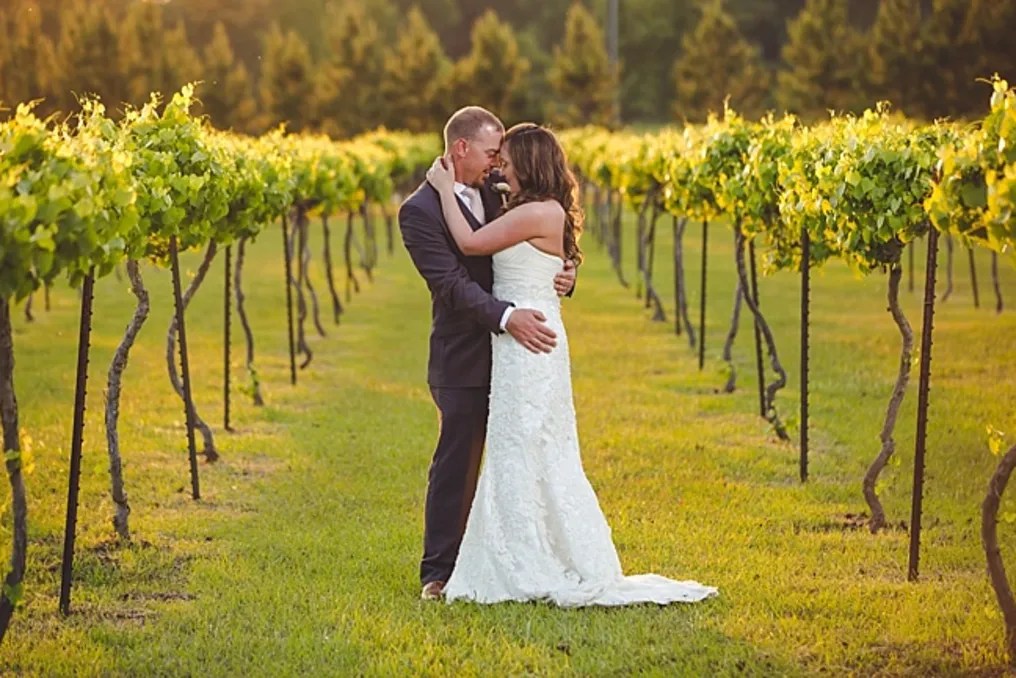 Saw Mill  Pond Vineyard #4