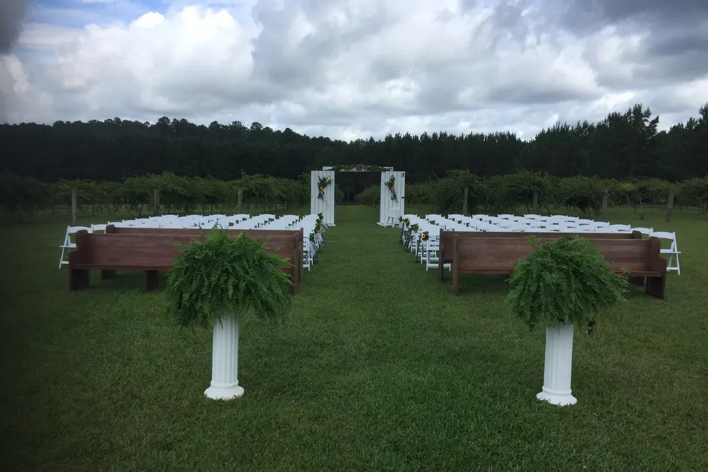 Saw Mill  Pond Vineyard #15
