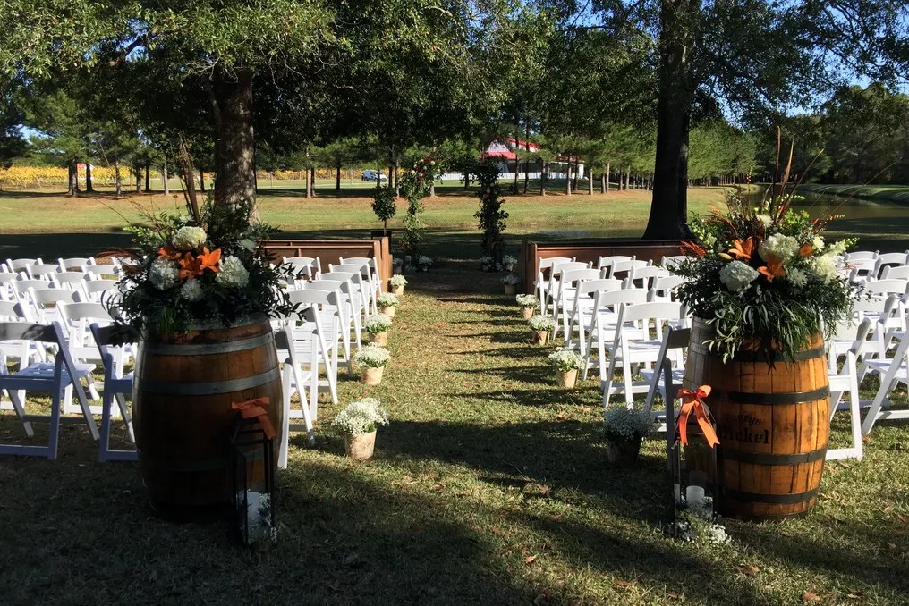 Saw Mill  Pond Vineyard #16