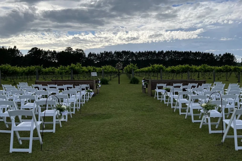 Saw Mill  Pond Vineyard #18