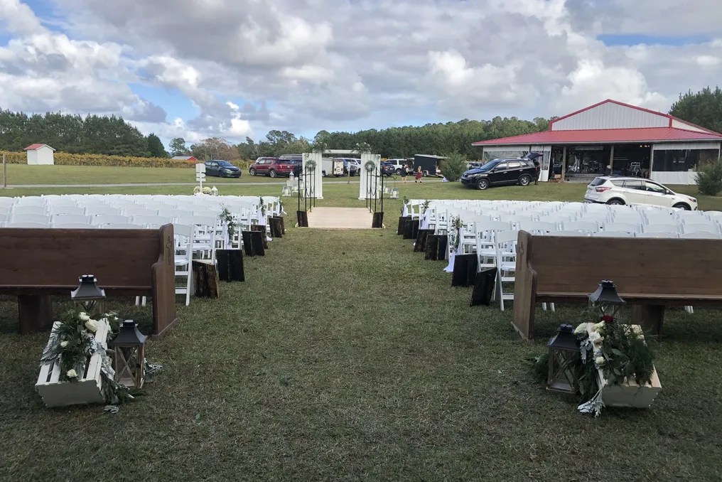 Saw Mill  Pond Vineyard #22