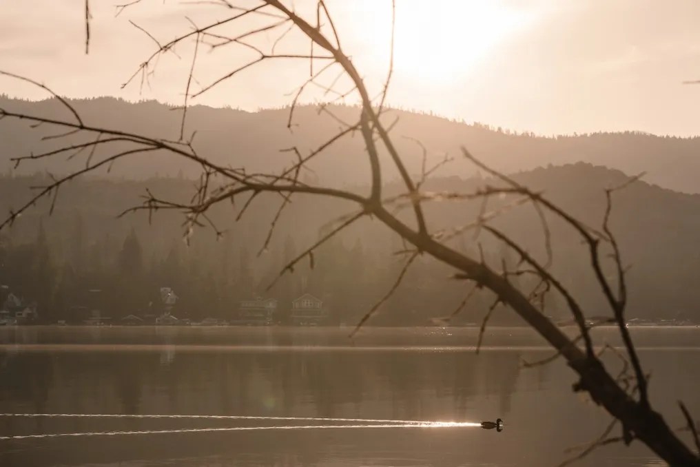 Bass Lake Weddings #14