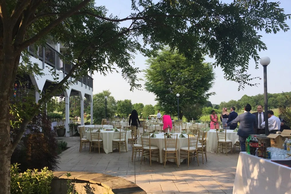 Narmada Winery #5