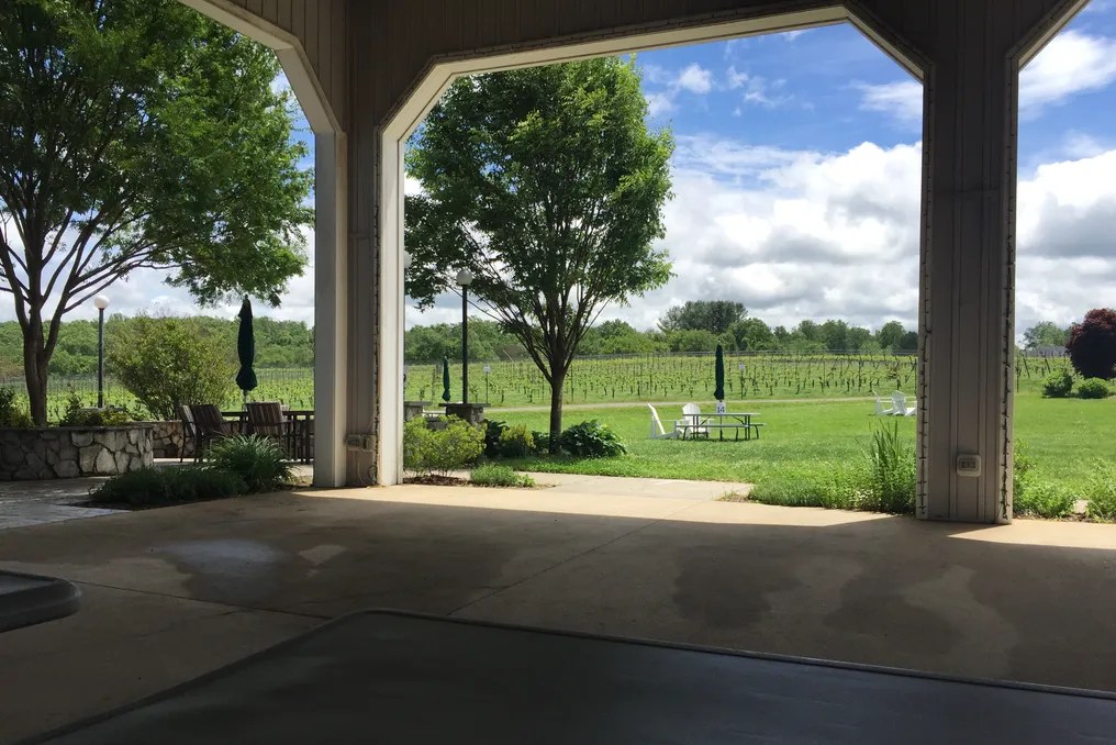 Narmada Winery #6