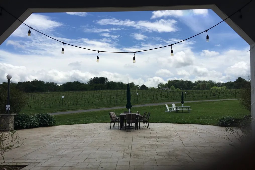 Narmada Winery #10