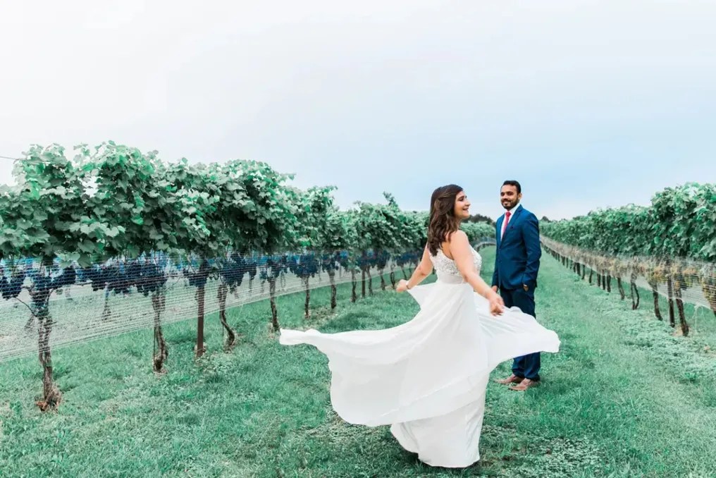 Narmada Winery #16