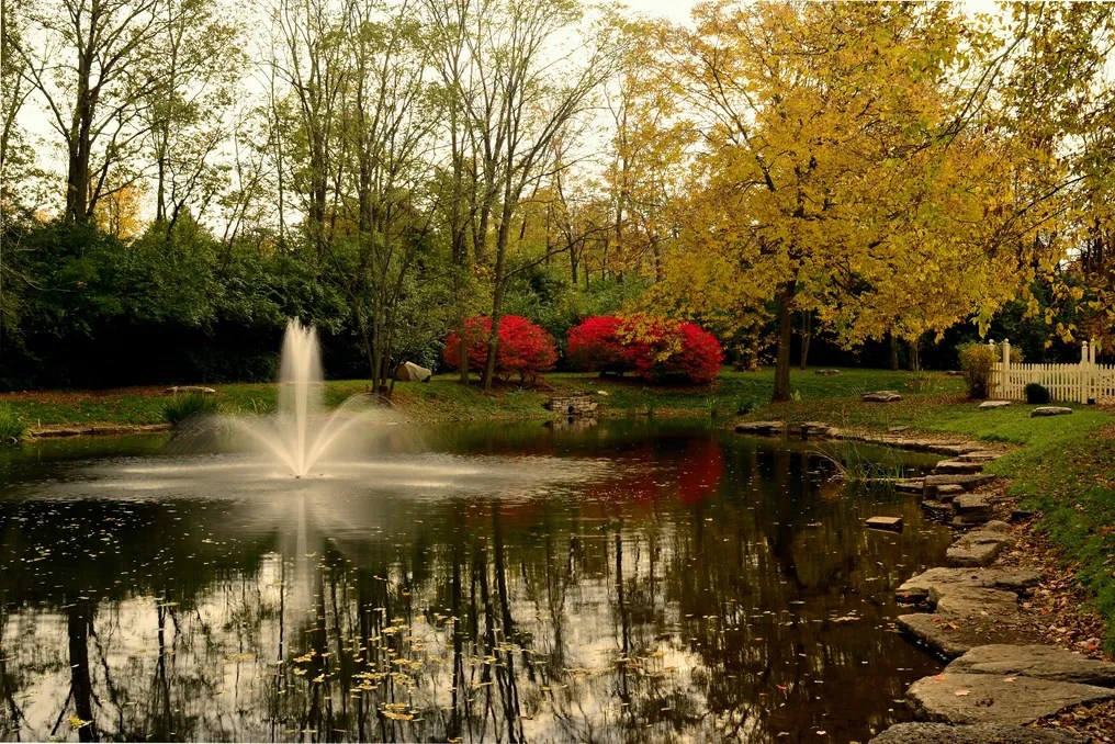 Benham's Grove #6