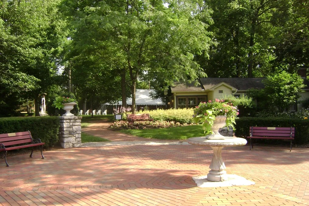 Benham's Grove #8
