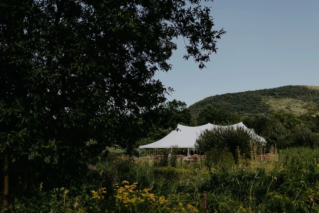 Blooming Hill Farm #15