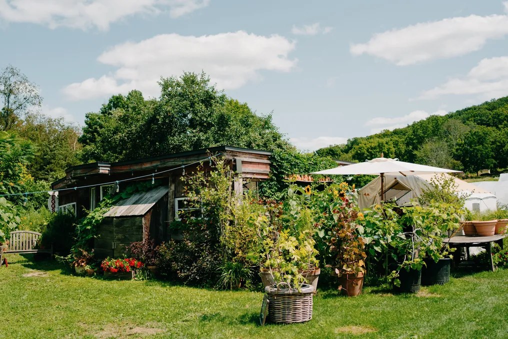 Blooming Hill Farm #36