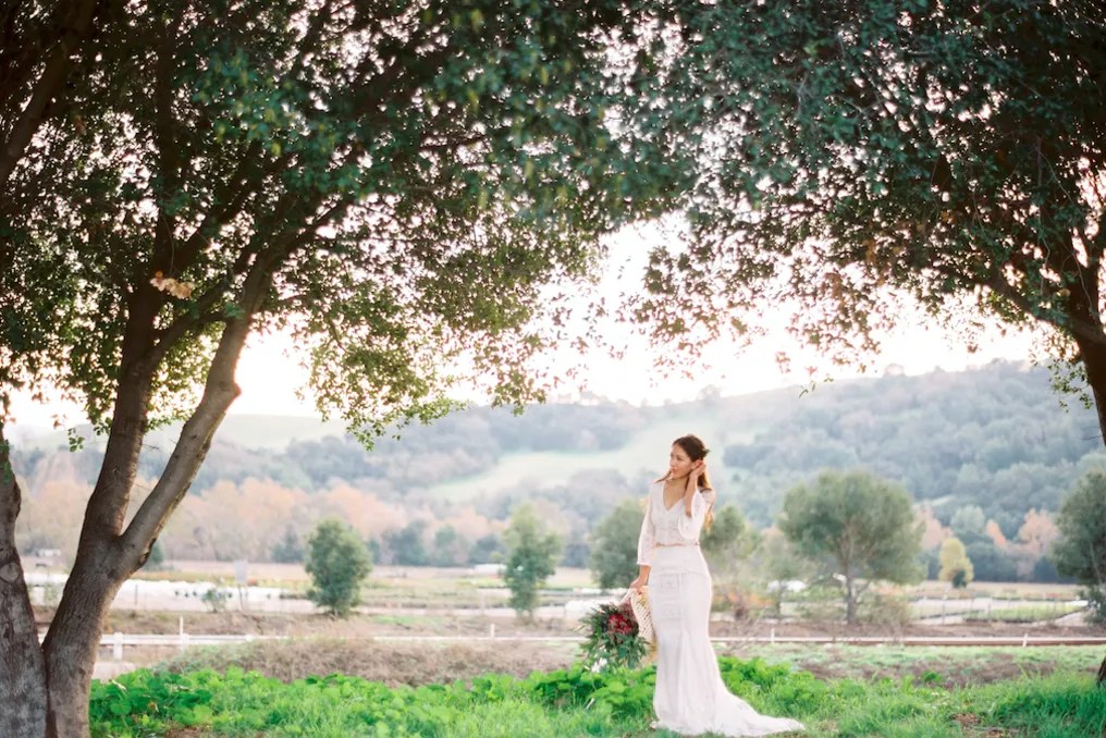 Sunol's Casa Bella #66