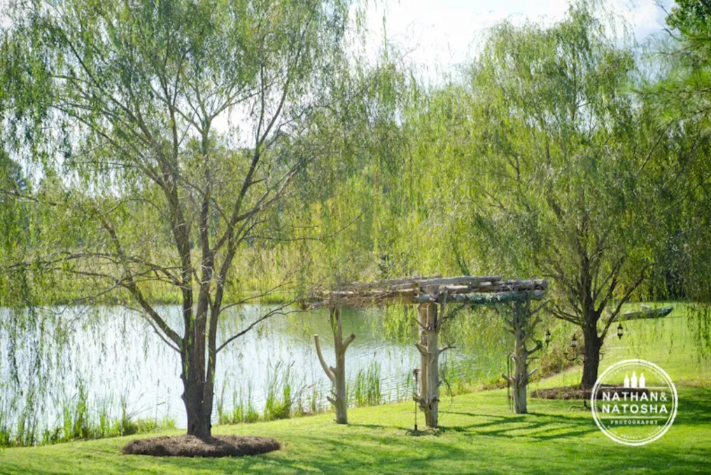 Spring Lake Events #7