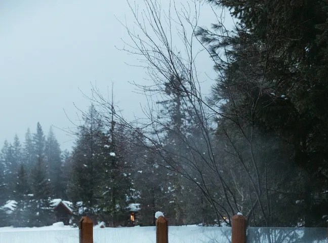 Freestone Inn #14