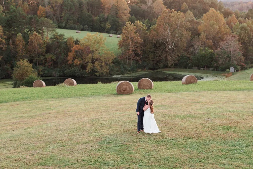 Guildford Farm #17