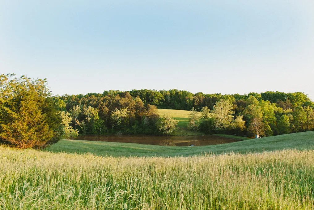 Guildford Farm #45